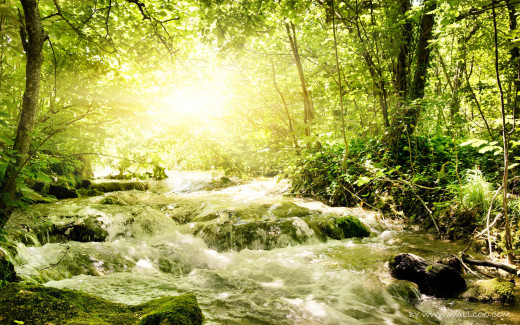 487729 (a): :1920x1200